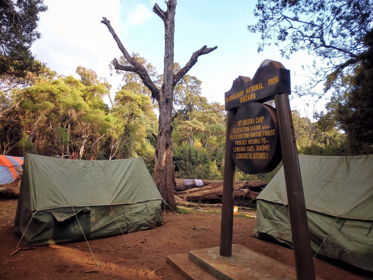 10-days-lemosho-route-2