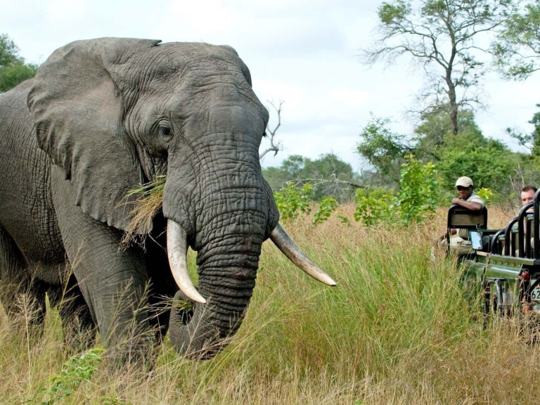 10-days-safari-mikumi-udzungwa-ruaha-selous-5