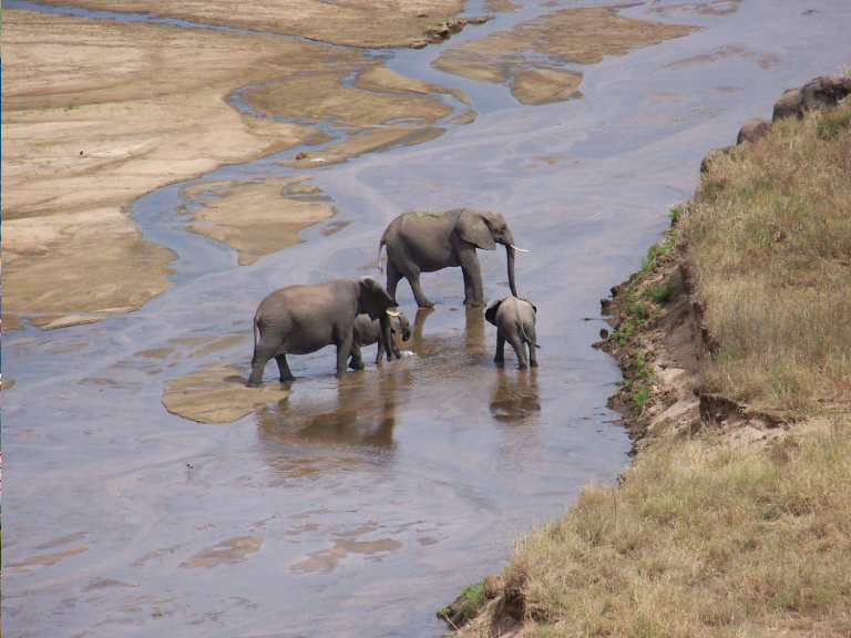 10-days-serengeti-wildebeest-migration-safari-5