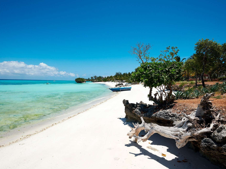 10-days-ultimate-zanzibar-experience-5