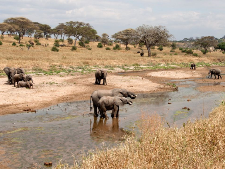 13-days-tanzania-safari-and-zanzibar-beach-holiday-3