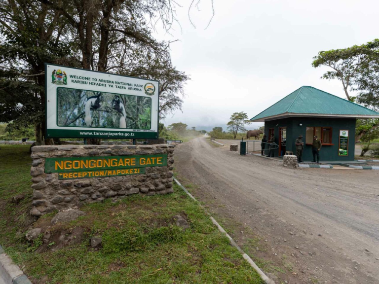 15-days-tanzania-luxury-safari-and-zanzibar-2
