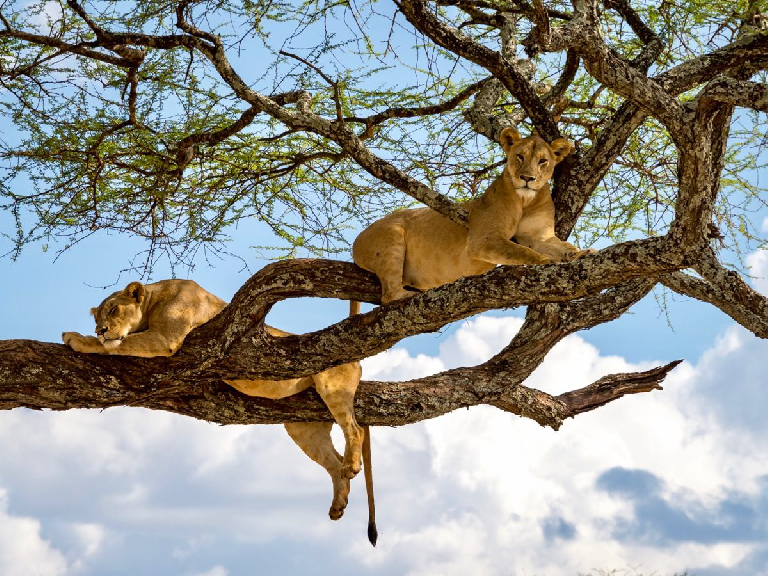 18-days-tanzania-safari-zanzibar-5