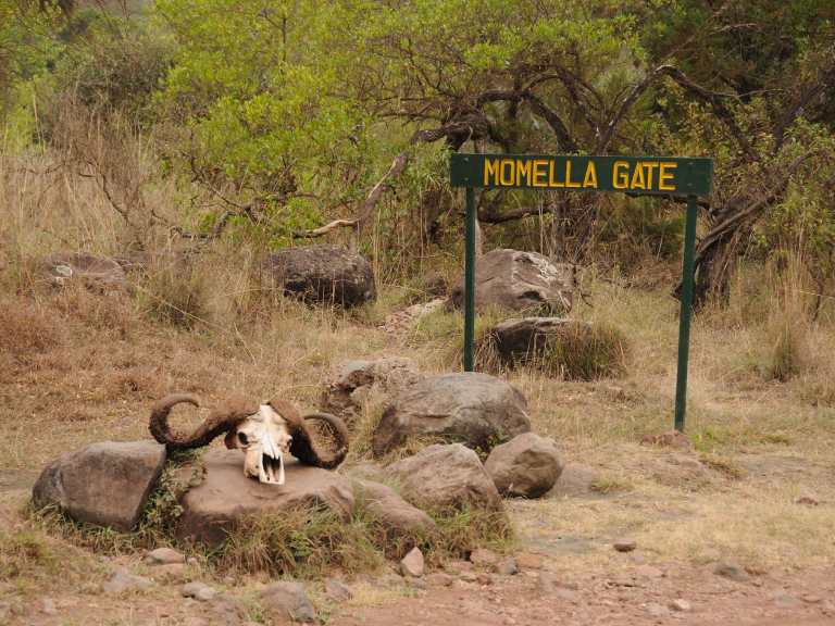 5-days-mount-meru-climbing-5