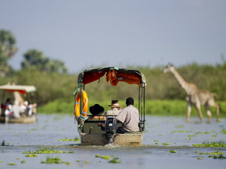 5-days-safari-nyerere-national-park-5