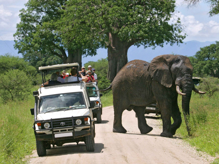 5-days-tanzania-luxury-safaris-3 (1)