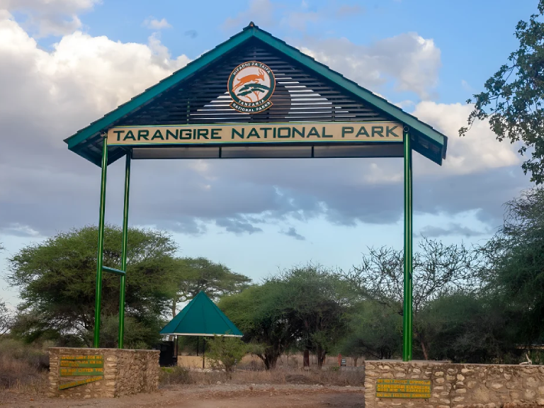 6-days-best-of-tanzania-safari-3