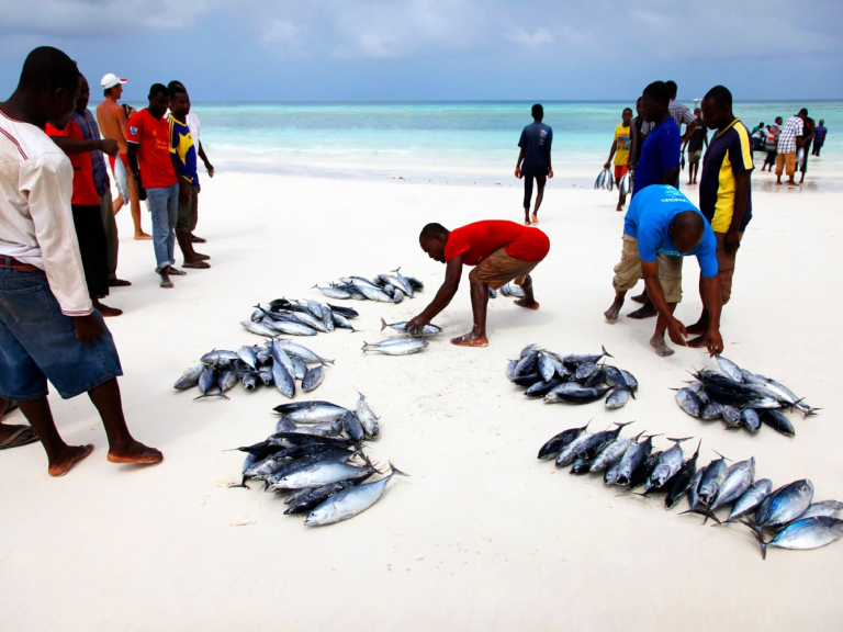 6-days-pemba-island-4