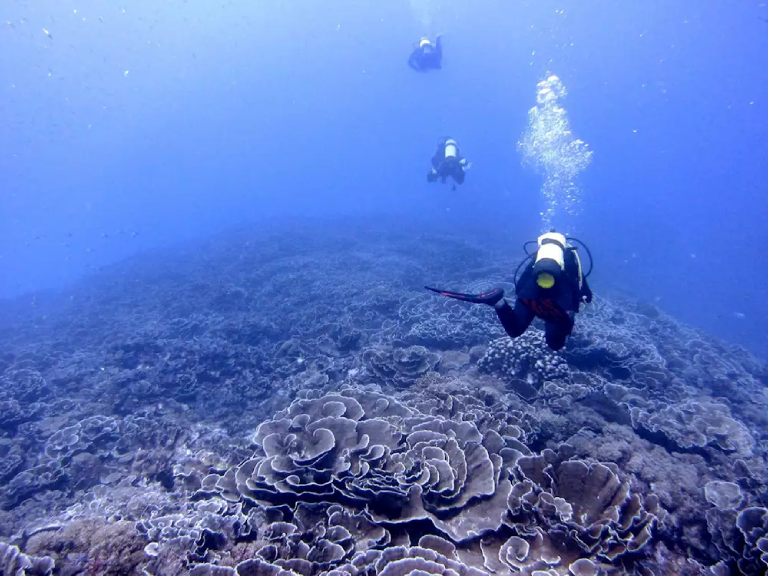 6-days-pemba-island-5