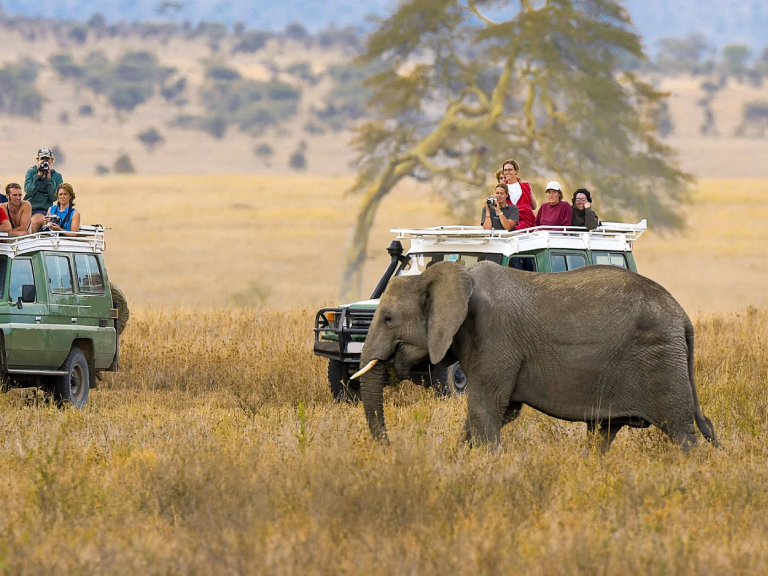 6-days-tanzania-short-luxury-safaris-6