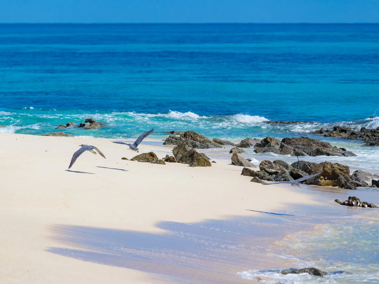 6-days-thanda-island-2