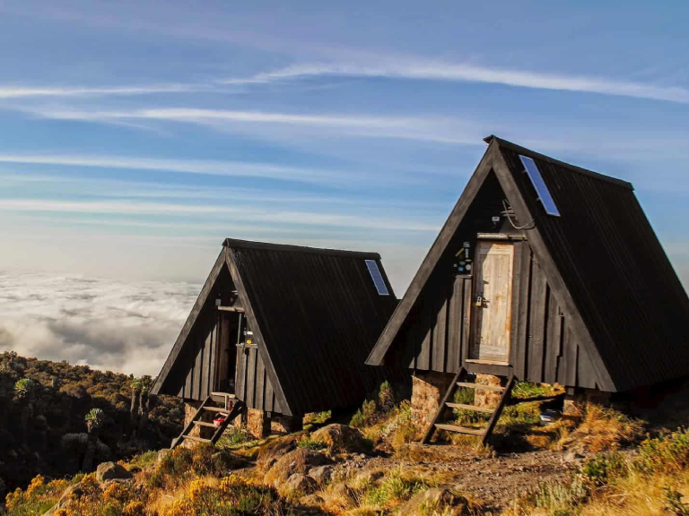 7-days-marangu-route-2