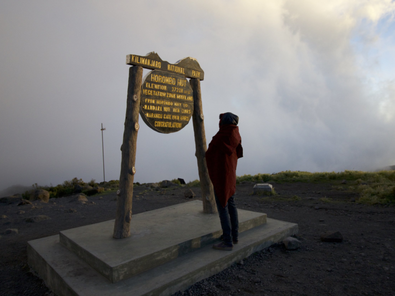 7-days-marangu-route-3