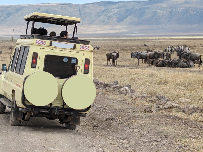 7-days-tanzania-big-game-safaris-2