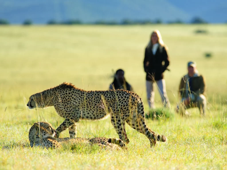 7-days-tanzania-big-game-safaris-4