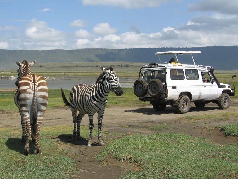 7-days-tanzania-big-game-safaris-5