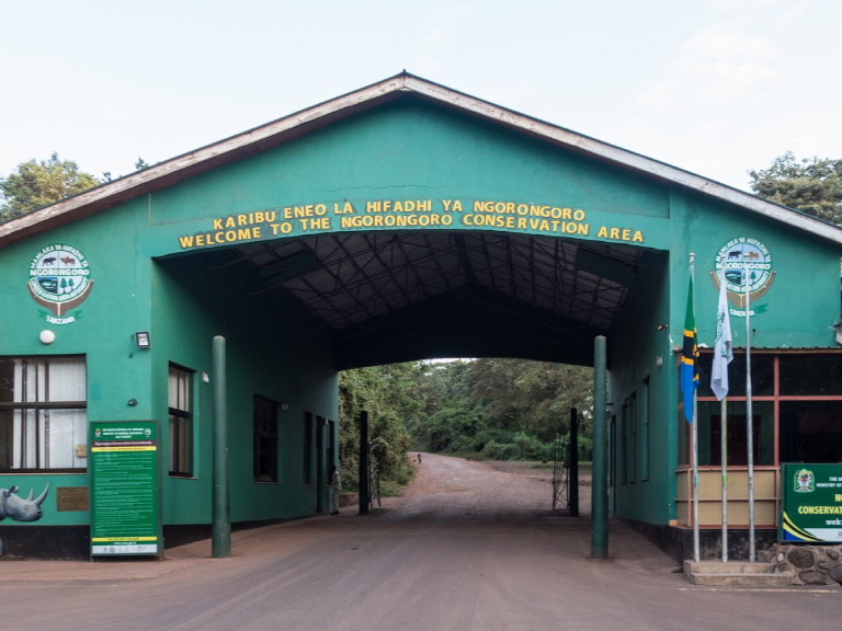 7-days-the-great-serengeti-migartion-safari-5