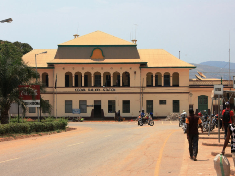8-days-chimpanzee-trekking-in-tanzania-2