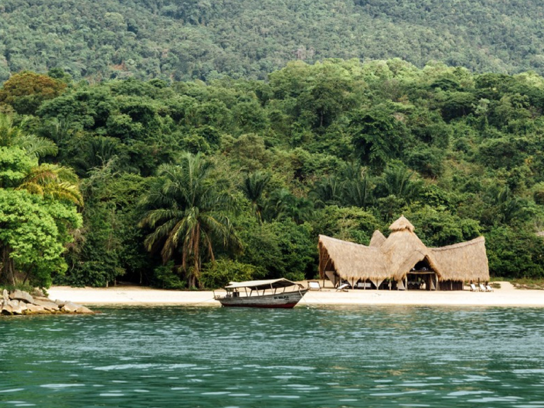 8-days-chimpanzee-trekking-in-tanzania-3