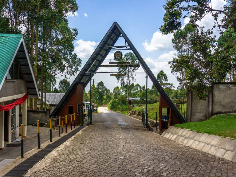 8-days-marangu-route-5