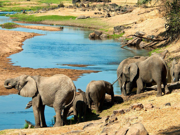 8-days-safari-mikumi-udzungwa-ruaha-4