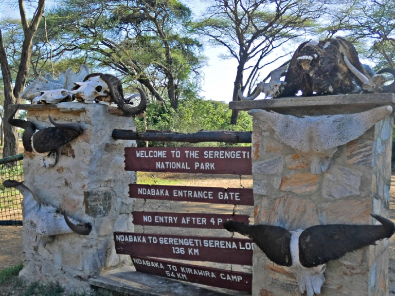 8-days-serengeti-wildebeest-migration-safari-4