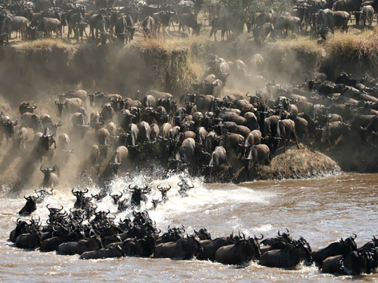 8-days-tanzania-classic-safari-4
