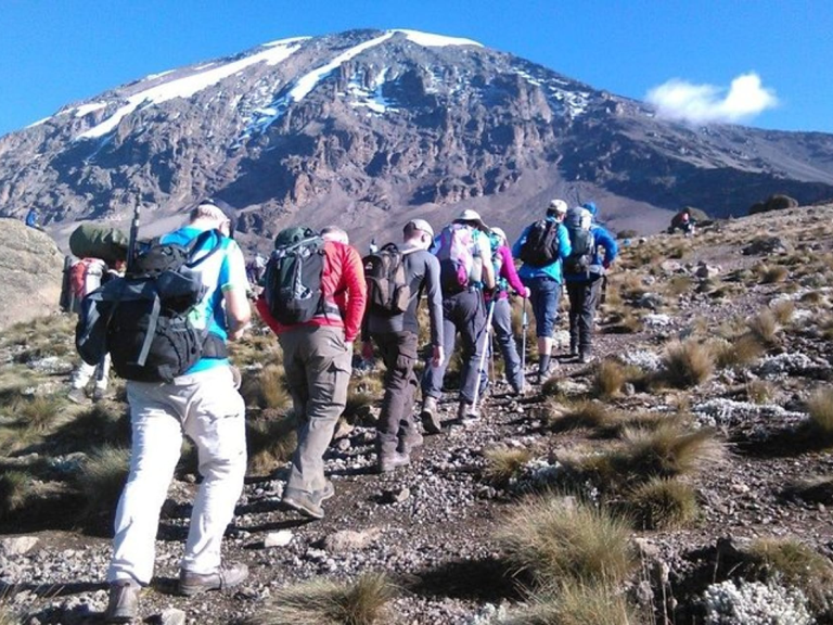 9-days-lemosho-route-2