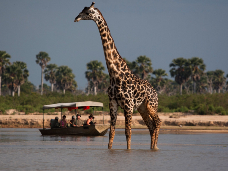 9-days-safari-mikumi-ruaha-selous-4