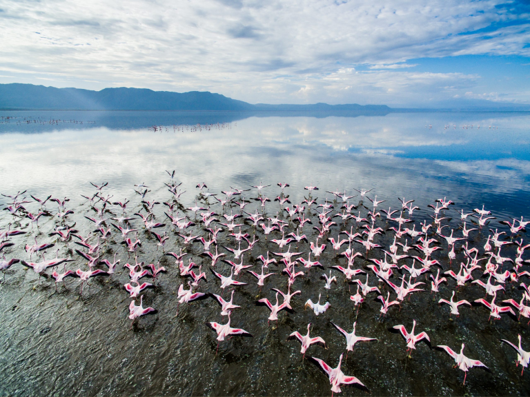 9-days-tanzania-wildlife-safaris-2