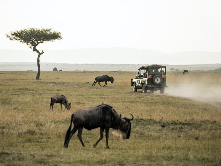 9-days-tanzania-wildlife-safaris-3