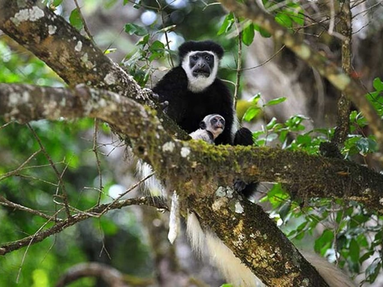 arusha-national-park-6