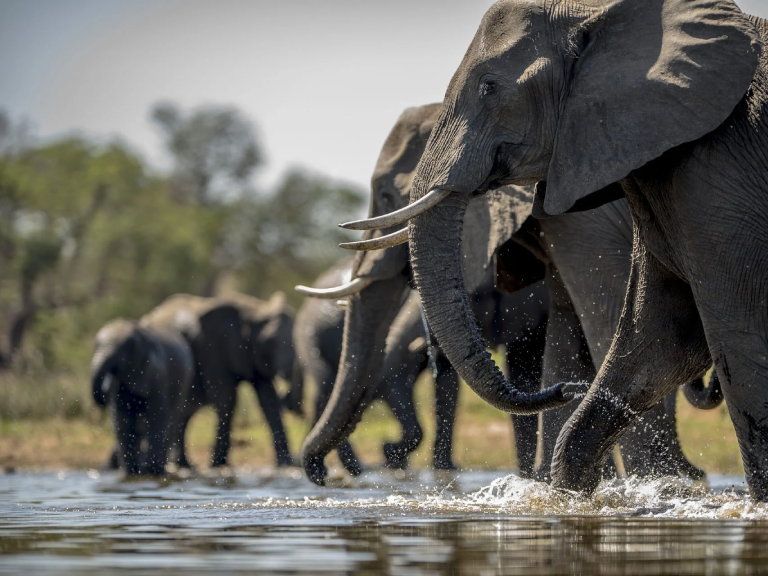 arusha-national-park-7