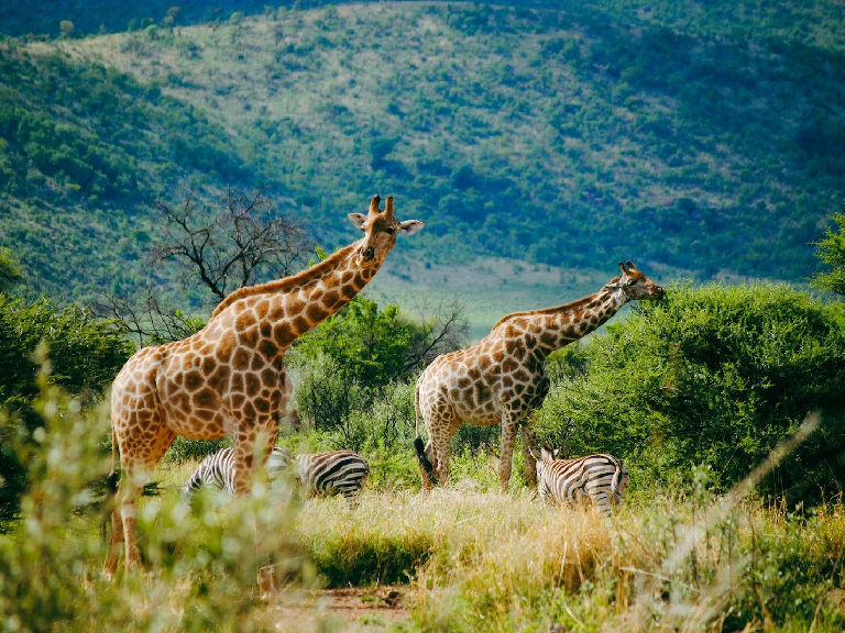 arusha-national-park-8