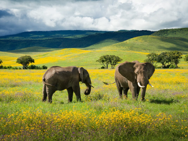 best-time-to-travel-tanzania-5