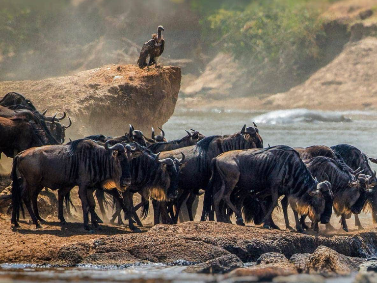 best-time-to-travel-tanzania-6