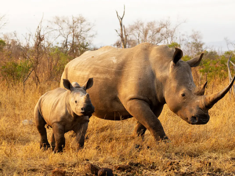 best-time-to-travel-tanzania-8