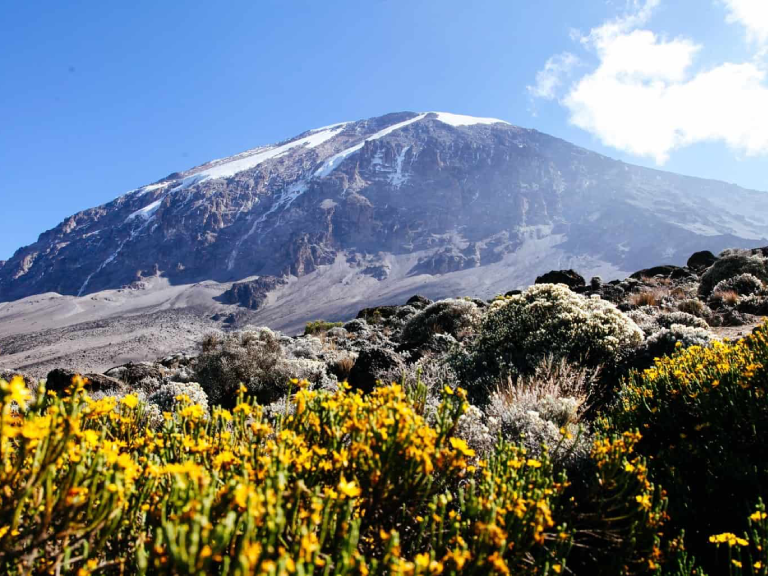 how-much-does-it-cost-to-climb-kilimanjaro-8