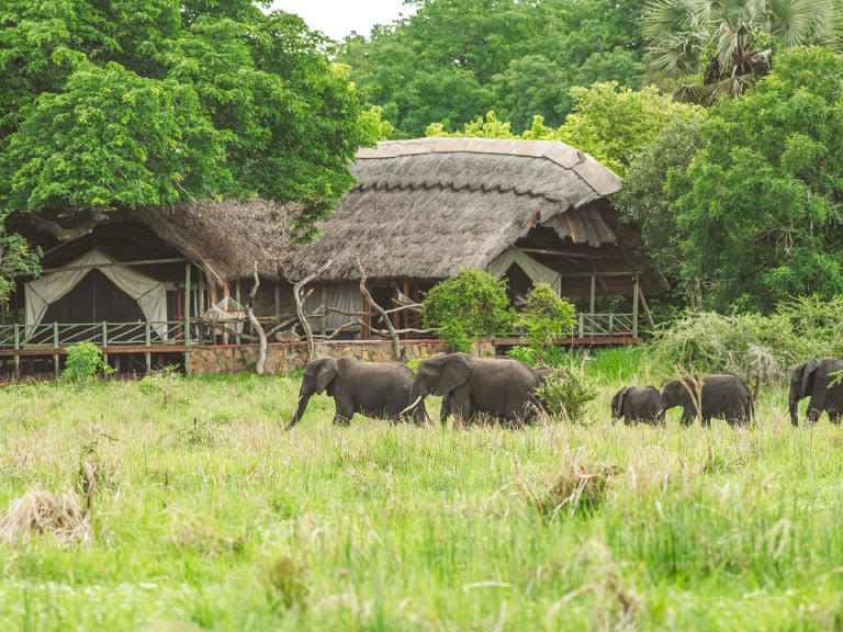 katavi-national-park-5