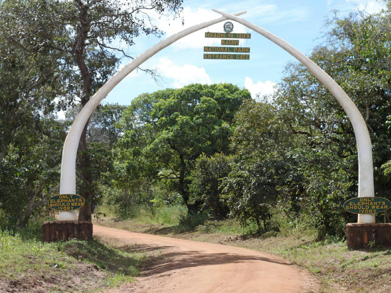 katavi-national-park-8