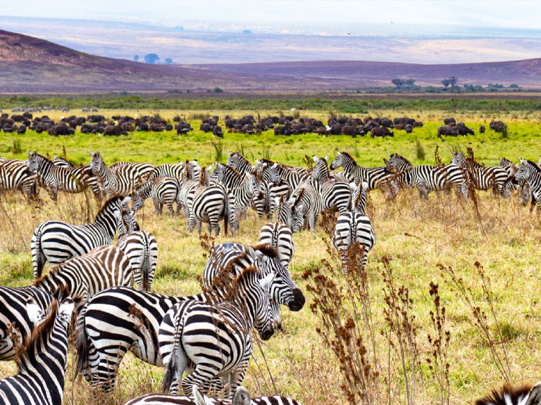 lake-manyara-national-park-5