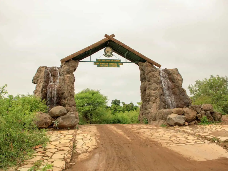lake-manyara-national-park-8