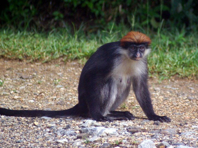 mahale-mountain-national-park-8