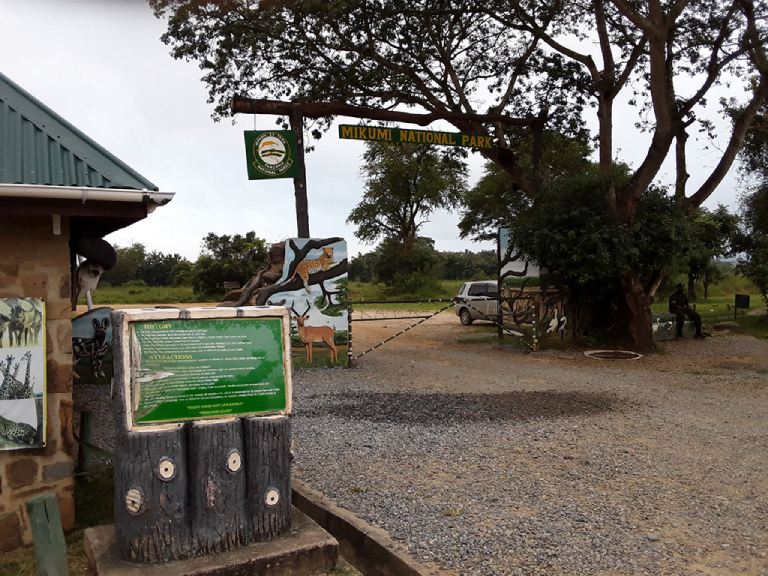mikumi-national-park-7