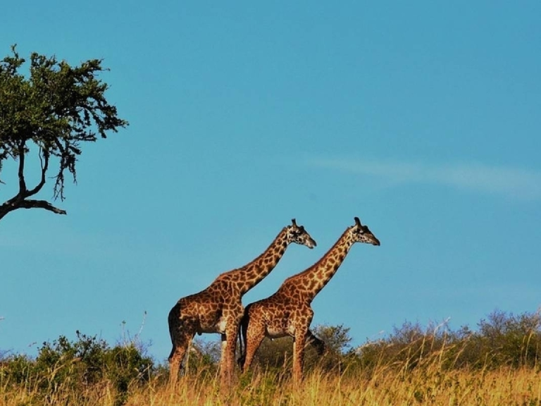 ngorongoro-crater-6