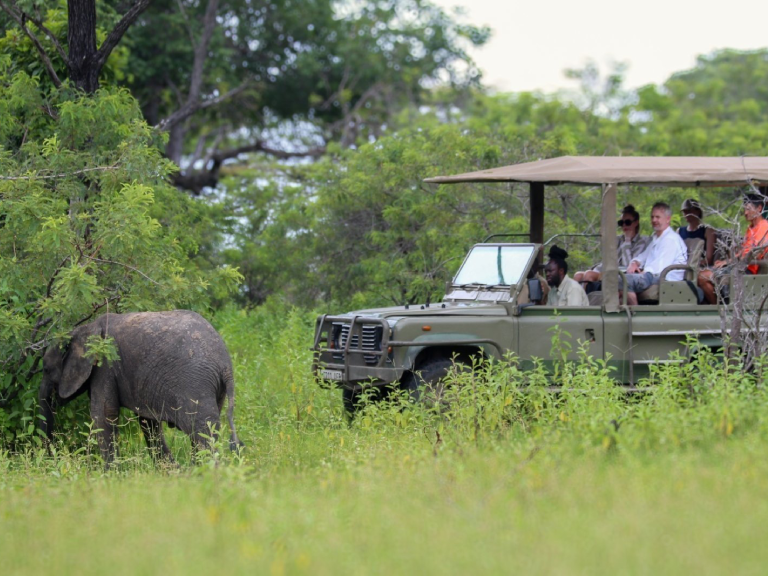 nyerere-national-park-5