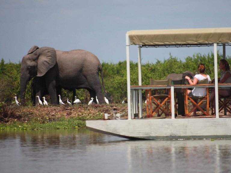 nyerere-national-park-8