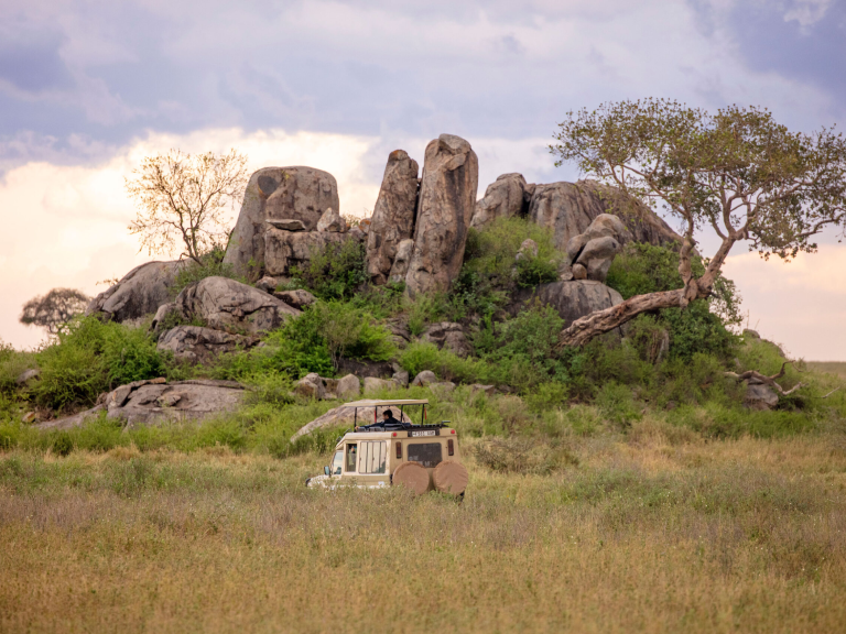 ruaha-national-park-5