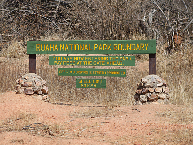 ruaha-national-park-7