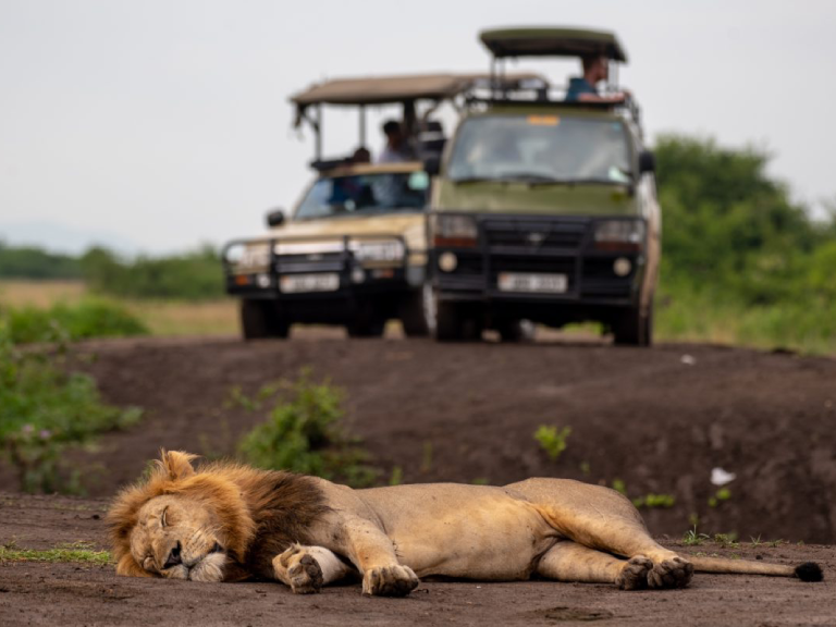 serengeti-national-park-5 (1)